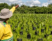 Daabon Sustainable Palm Oil