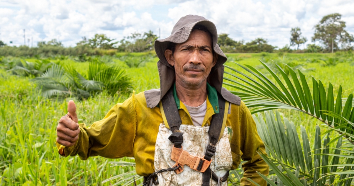 sustainable palm oil at daabon group