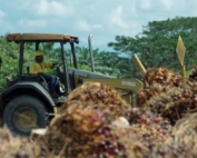 Daabonusa_Truth About Palm Oil 2