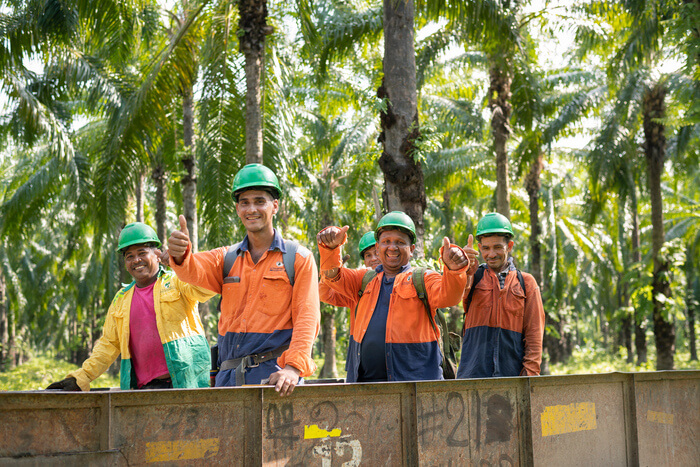 Carbon Negative Palm Oil Daabon