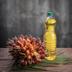 carbon-negative palm oil
