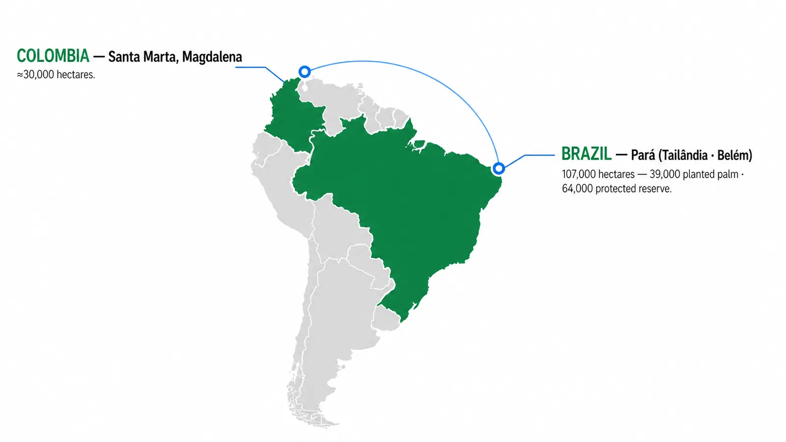 Map of Daabon palm oil operations across Colombia (Santa Marta, Magdalena) and Pará, Brazil, showing 30,000 hectares in Colombia and 107,000 hectares in Brazil with 64,000 hectares of protected reserve