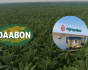 Daabon and Agropalma logos over a palm oil plantation, marking the Daabon-Agropalma acquisition